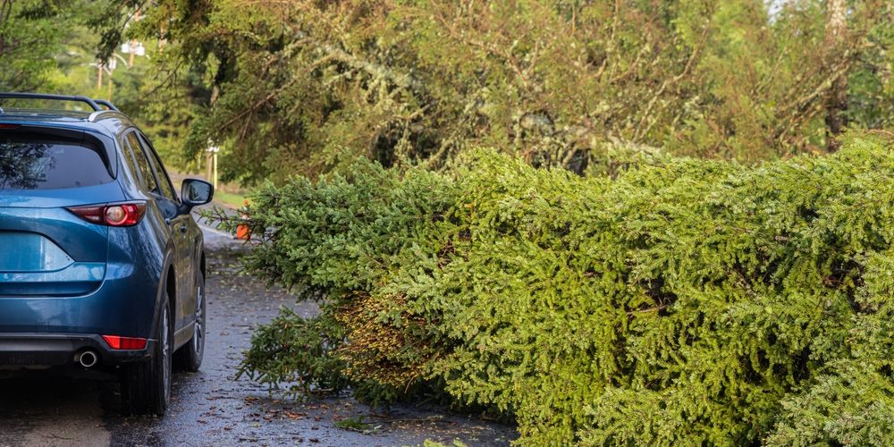 Avoid Debris on the Road Without Causing an Accident